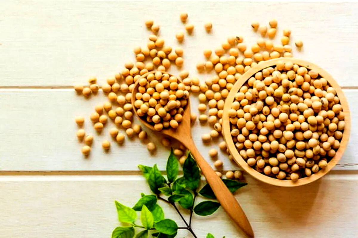 در مصرف سویا احتیاط کنید 