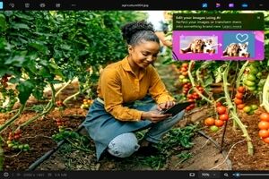 اپلیکیشن فوتوز ویندوز ۱۱ با ابزار‌های هوش مصنوعی قدرتمندتری به‌روز شد
