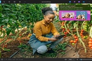 اپلیکیشن فوتوز ویندوز ۱۱ با ابزار‌های هوش مصنوعی قدرتمندتری به‌روز شد