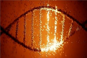 تأییدیه FDA برای نخستین ویرایشگر ژنی جهت درمان کلسترول