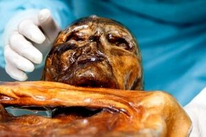 کشف نشانه‌هایی از حیات در مرد یخی!