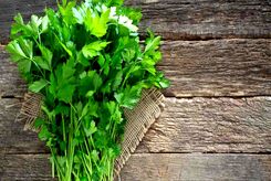 کاهش قند خون با مصرف یک سبزی معطر