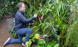 گفتگو با گیاهان ممکن شد