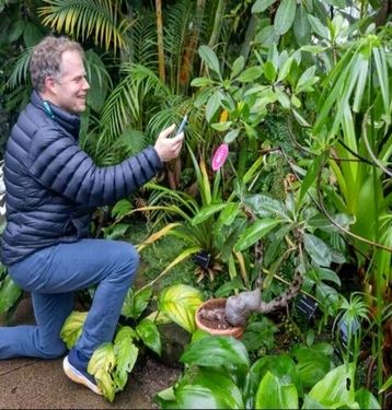 گفتگو با گیاهان ممکن شد