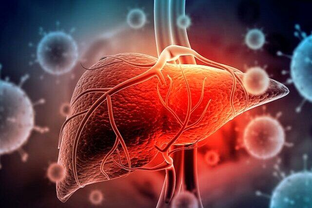 چشم‌انداز تازه درمان بیماری‌های کبدی با کمک سلول‌های بنیادی