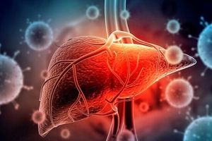 چشم‌انداز تازه درمان بیماری‌های کبدی با کمک سلول‌های بنیادی