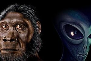 اگر انسان‌ها به‌جای زمین، روی سیاره‌ای دیگر زندگی می‌کردند، بدنشان چه شکلی می‌شد؟/ ویدئو
