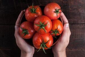 فواید و مضرات گوجه فرنگی در طب سنتی