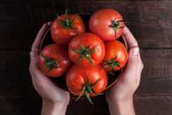 فواید و مضرات گوجه فرنگی در طب سنتی