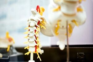 امکان ترمیم اعصاب نخاع با تزریق ژل نانویی