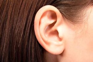چین‌وچروک‌‌های لاله گوش اصلاً بی‌دلیل نیستند!/ ویدئو