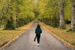عدد طلایی پیاده روی روزانه چند قدم است؟ 