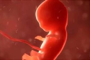 جنین انسان چه زمانی «آگاه» می‌شود؟ 