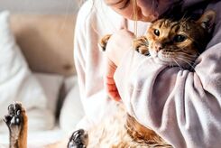 داشتن گربه چه تأثیری بر مغز شما دارد؟