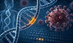 ردپای ویروس‌های کهن در DNA انسان