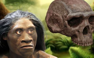 چرا «انسان‌های هابیت» جثۀ کوچکی داشتند؟ 