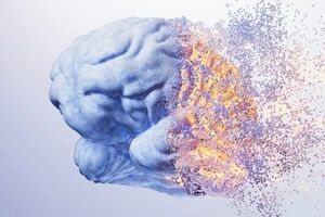 شناخت مدارهای مغزی، کلید توسعه روش‌های علمی پیشگیری و درمان اعتیاد