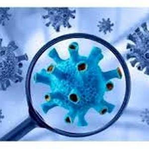 ویروس‌ها چه مدت روی سطوح زنده می‌مانند؟