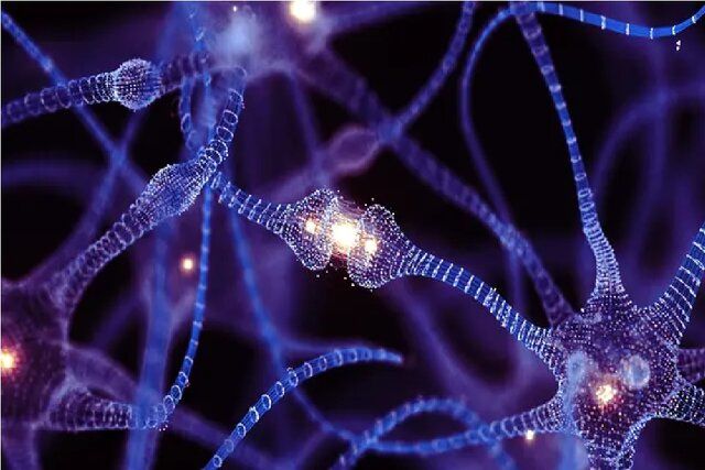 اولین رایانه زنده جهان با همراهی ۱۰ دانشگاه، جهانی می‌شود