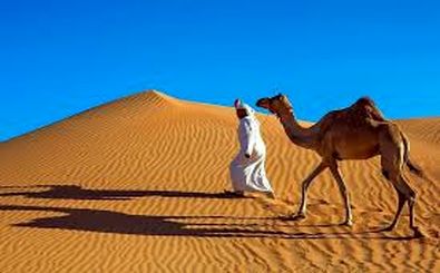 چرا عربستان با وجود بیابان‌های بی‌پایان شن وارد می‌کنند؟ 