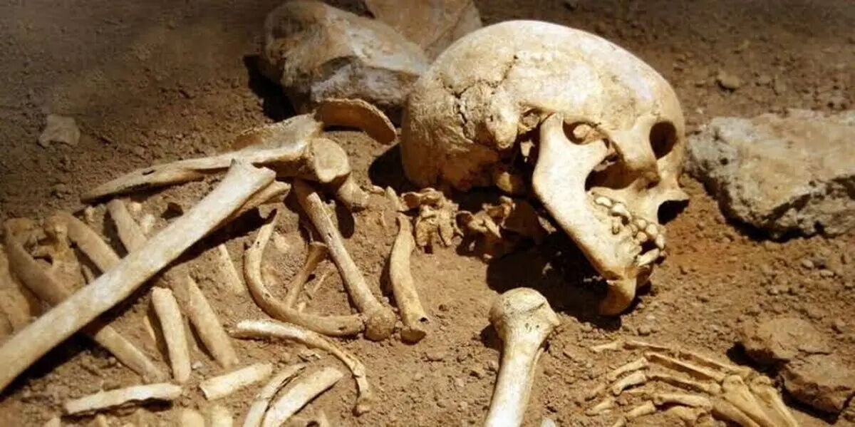 تصاویر مراحل تجزیه جسد انسان پس از مرگ +18/ ویدئو