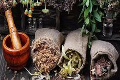 طراحی و ساخت اپلیکیشن شناسایی و تشخیص تقلب‌ در گیاهان دارویی