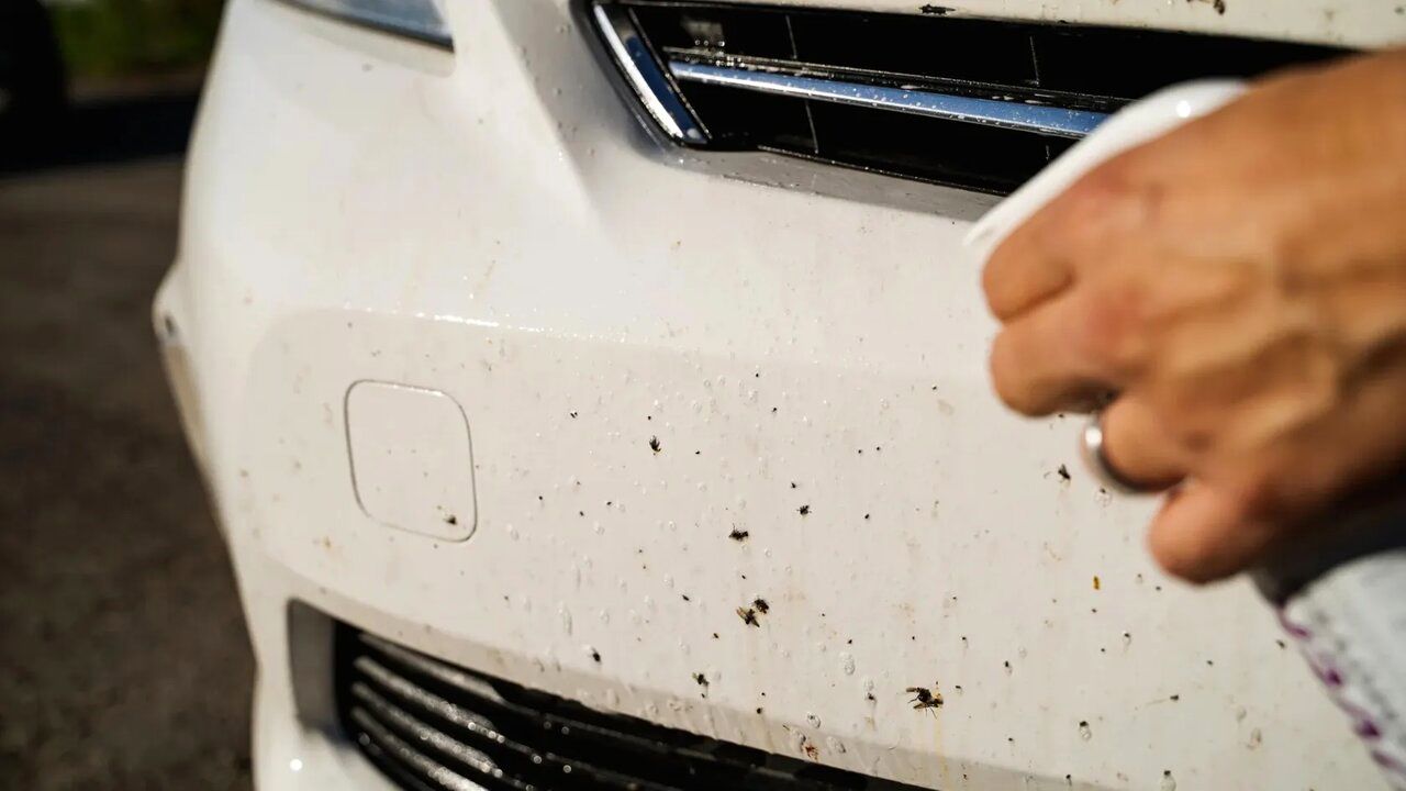 چگونه قیر، چسب و فضله پرندگان را از بدنه خودرو پاک کنیم؟