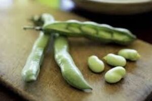 فواید بی‌نظیر باقلا