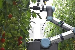 ربات باغبان چین شگفتی آفرید