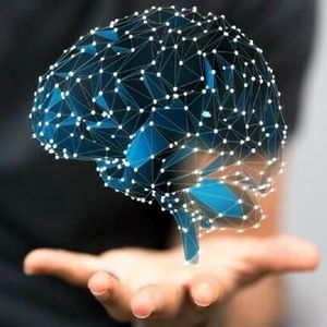 فراخوان جذب کارگزار در حوزههای اولویتدار ستاد توسعه فناوریهای شناختی