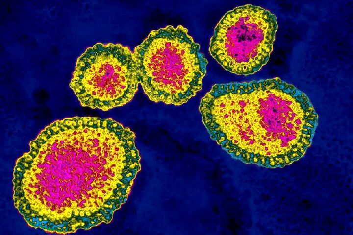 ویروس‌های متقلب شدت آنفلوانزا را کاهش می‌دهند