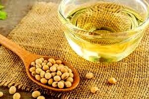دانشمندان محرک چاقی در روغن سویا را کشف کردند 