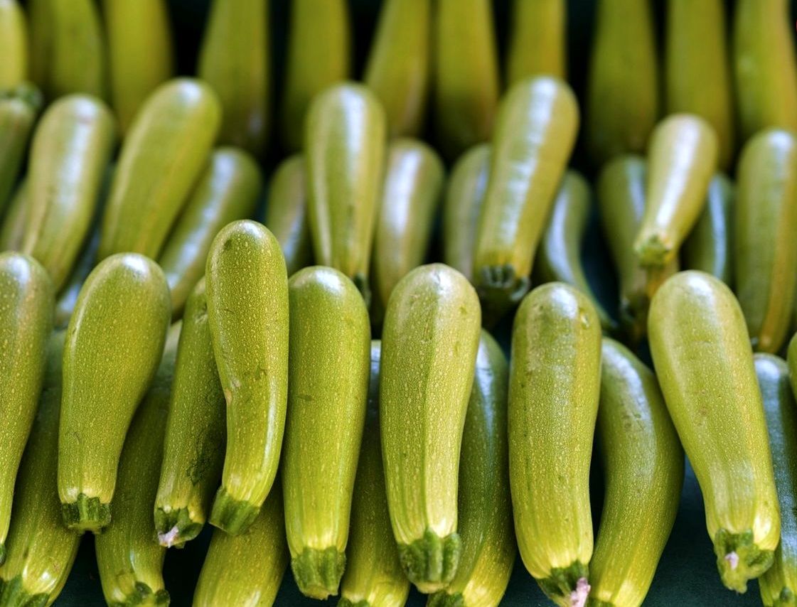 مصرف مرتب «کدو سبز» چه تاثیری روی بدن می‌گذارد؟