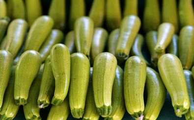 مصرف مرتب «کدو سبز» چه تاثیری روی بدن می‌گذارد؟