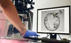 آزمایش‌های اورژانسی ناباروری را ۳ ساعته تحویل بگیرید