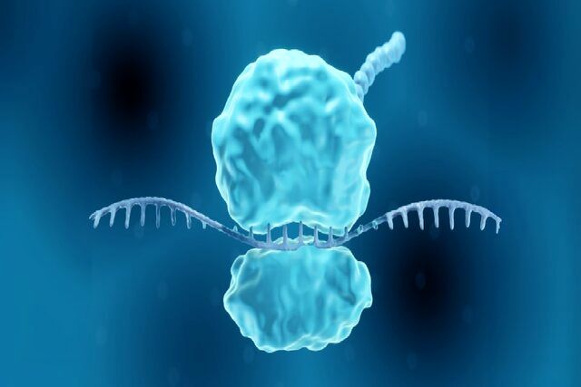 مصونیت ویروسی جهانی با بازآفرینی یک جهش ژنتیکی