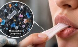 هر بار جویدن آدامس ممکن است هزاران ذره میکروپلاستیک آزاد کند