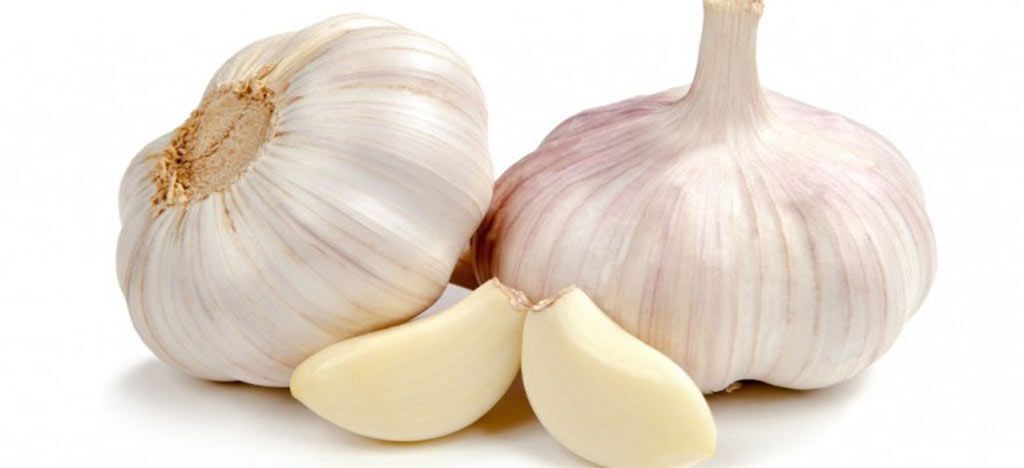 سیر را چطور بخوریم که بیشترین فایده را داشته باشد؟/ ویدئو