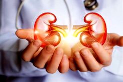 علائم سنگ کلیه چیست و چه افرادی بیشتر در معرض ابتلا هستند؟