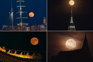 آلبوم تصاویر ماه‌ توت‌فرنگی