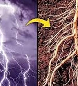 شباهت باورنکردنی کهکشان و انسان 