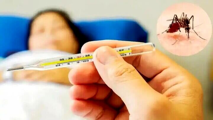 توصیه‌های مهم مراقبت در منزل از مبتلایان به تب دنگی