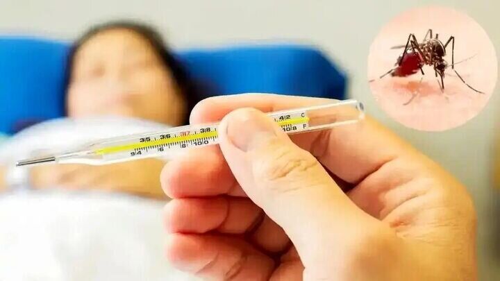 توصیه‌های مهم مراقبت در منزل از مبتلایان به تب دنگی
