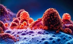 گامی هوشمند برای مدیریت سرطان‌های شغلی و حفاظت از نیروی کار