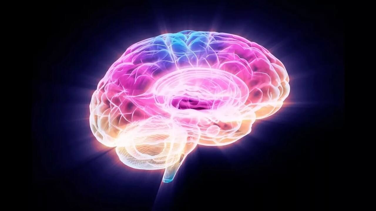 محققان با خاموش‌کردن یک پروتئین، پیری مغز را در موش‌ها معکوس کردند