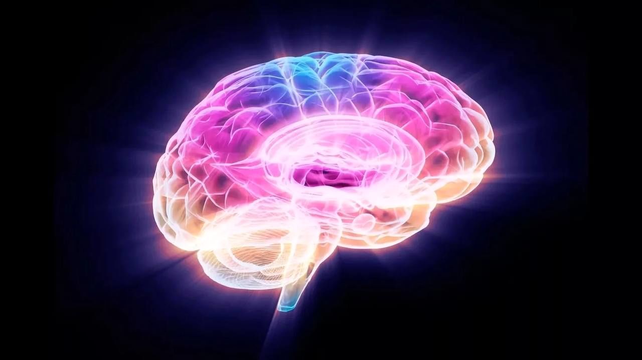 محققان با خاموش‌کردن یک پروتئین، پیری مغز را در موش‌ها معکوس کردند