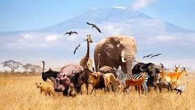 آیا همۀ حیوانات قابلیت «اهلی شدن» را دارند؟ 