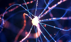 حلقه گمشده بین پارکینسون و آسیب به سلول‌های مغزی کشف شد 