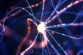 حلقه گمشده بین پارکینسون و آسیب به سلول‌های مغزی کشف شد 