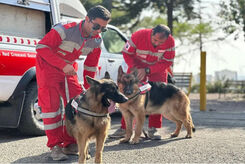 سگ‌های روباتیک هلال‌احمر چه شکلی هستند؟